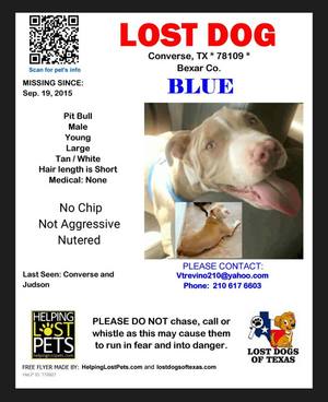 Safe Pit Bull in Converse, TX