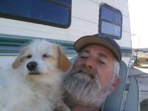 Safe Jack Russell Terrier in Perris, CA