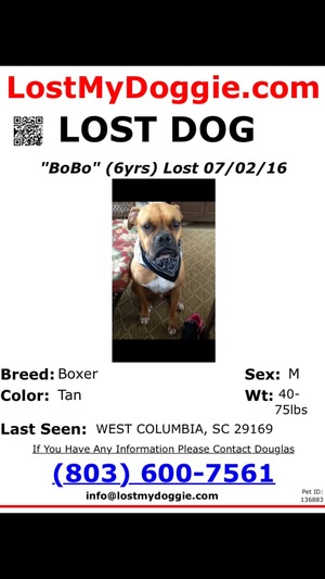 Safe Boxer in West Columbia, SC