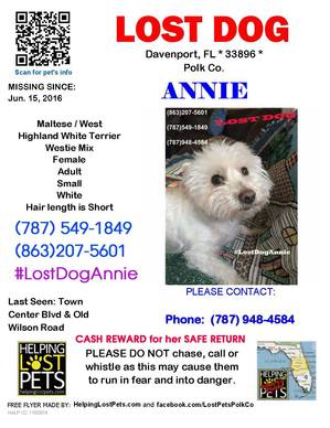 Safe West Highland White Terrier in Davenport, FL