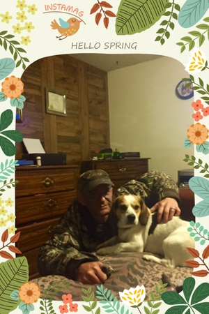 Safe Beagle in Jonesboro, AR