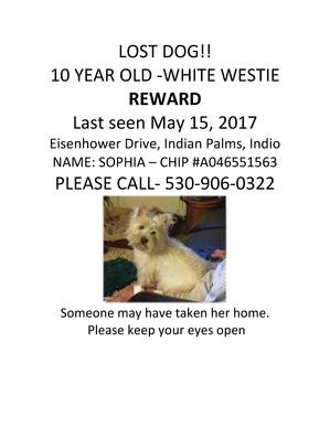 Safe West Highland White Terrier in Indio, CA