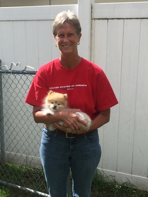 Safe Pomeranian in Hayden, ID