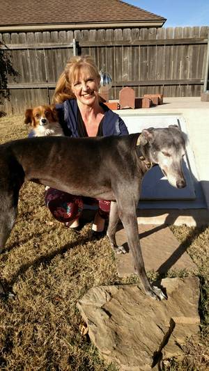 Safe Greyhound in Oklahoma City, OK US