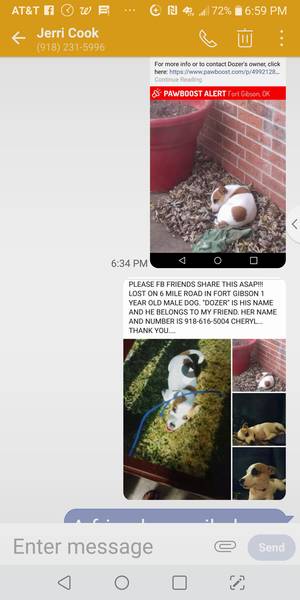 Safe Jack Russell Terrier in Fort Gibson, OK