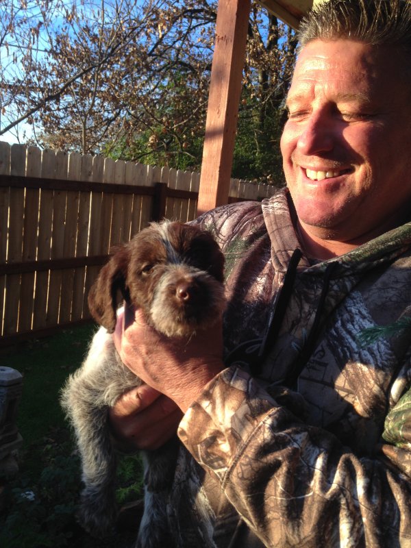 Safe Wirehaired Pointing Griffon in Placerville, CA