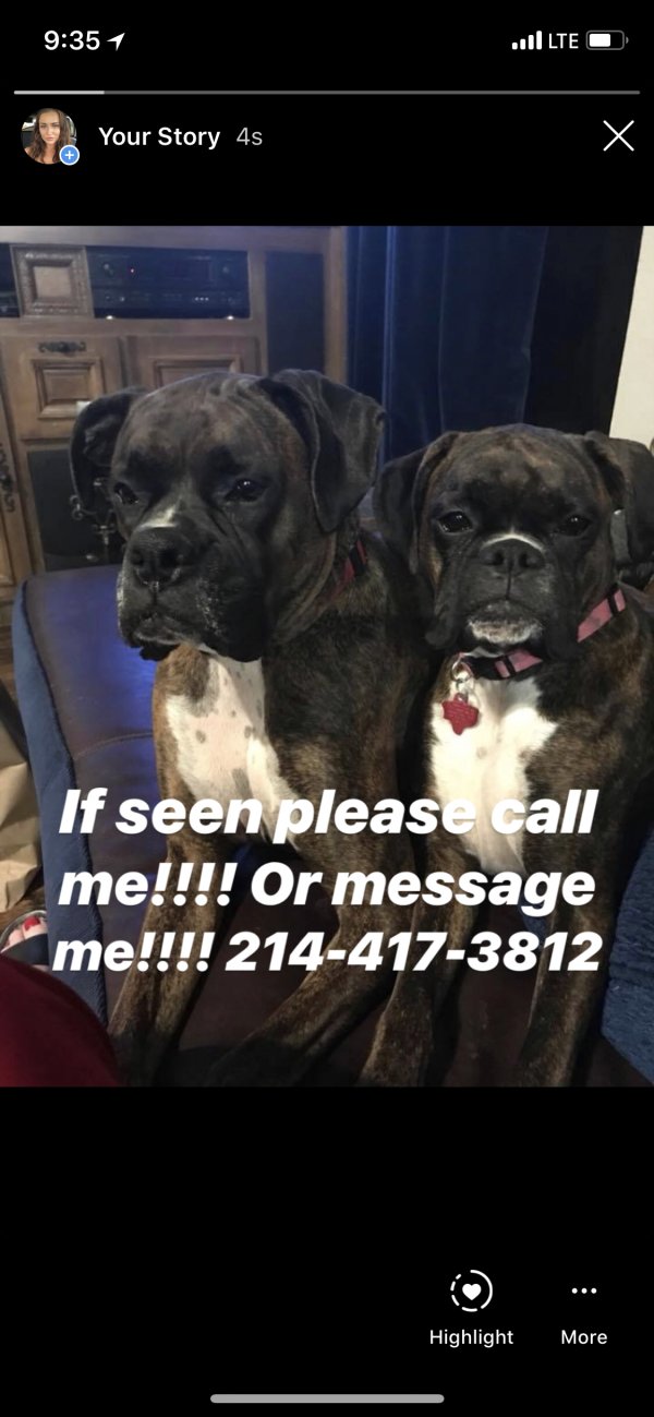 Safe Boxer in The Colony, TX