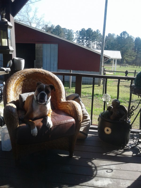 Safe Boxer in Vale, NC