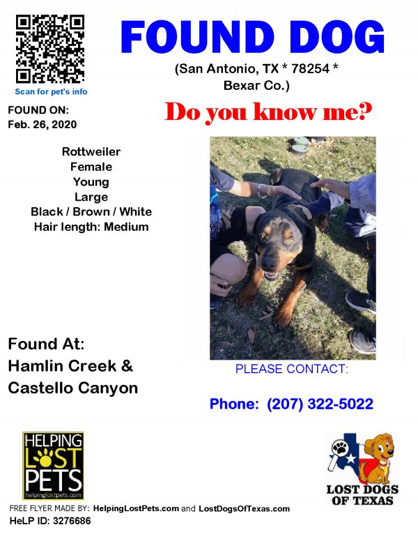 Safe Rottweiler in San Antonio, TX