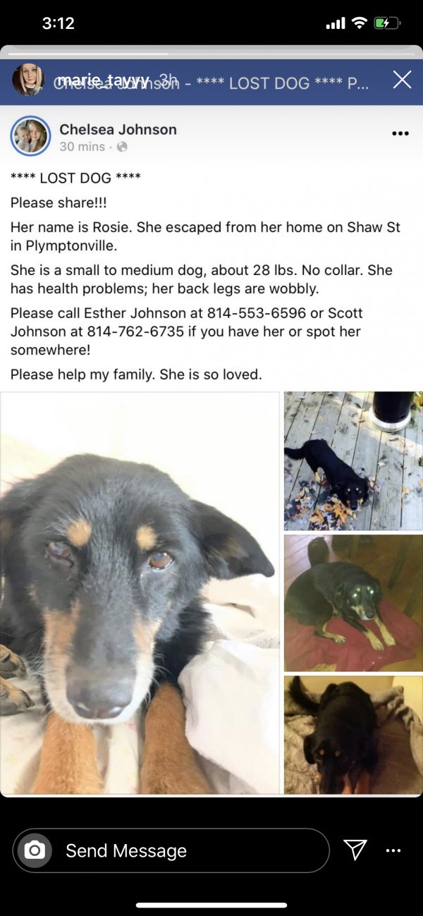 Safe Mutt in Clearfield, PA