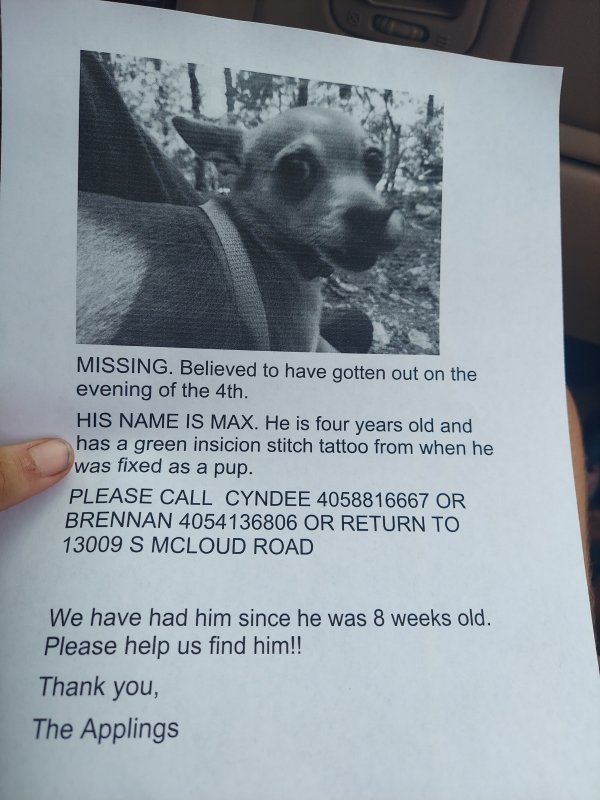 Safe Chihuahua in McLoud, OK