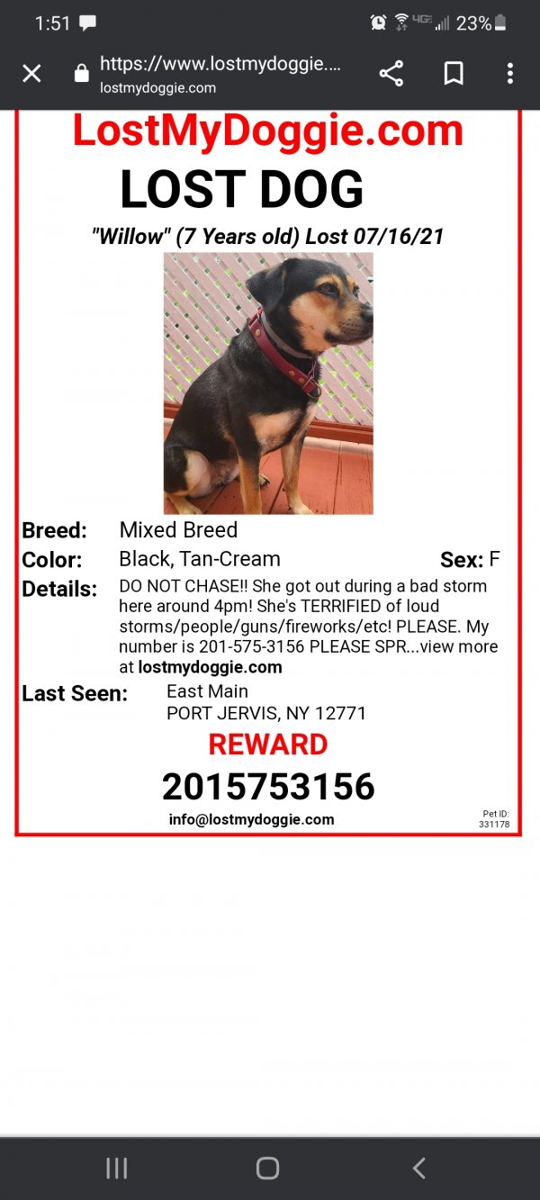 Safe Mutt in Port Jervis, NY