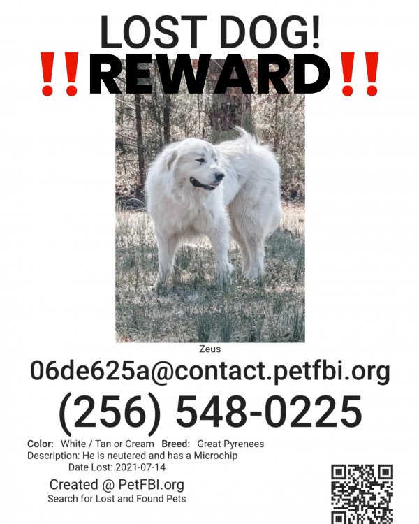 Safe Great Pyrenees in Hollywood, AL