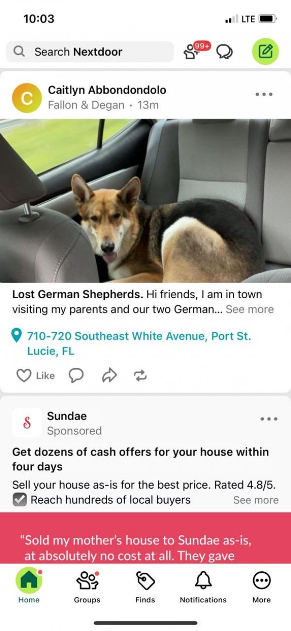 Safe German Shepherd Dog in Port Saint Lucie, FL