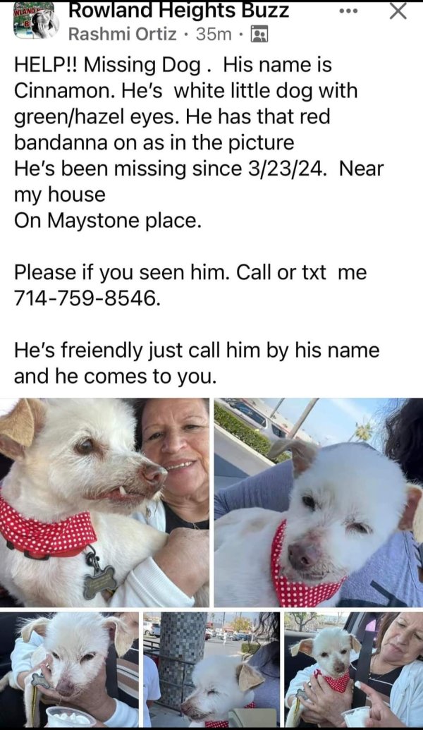 Lost Other in Rowland Heights, California